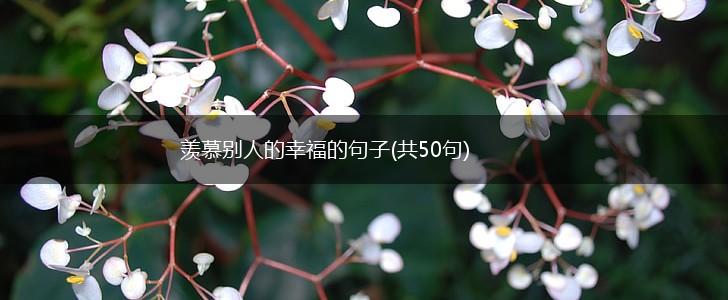 羡慕别人的幸福的句子(共50句),第1张