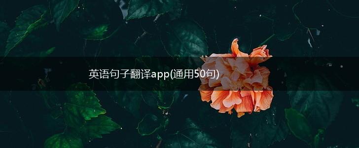 英语句子翻译app(通用50句),第1张