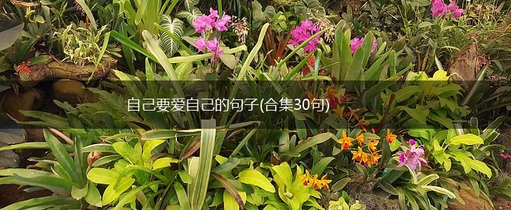 自己要爱自己的句子(合集30句),第1张