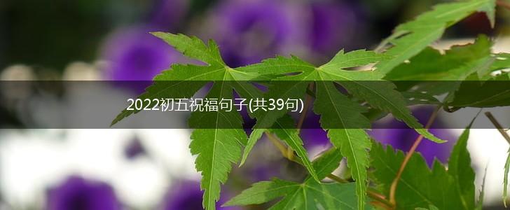 2022初五祝福句子(共39句),第1张