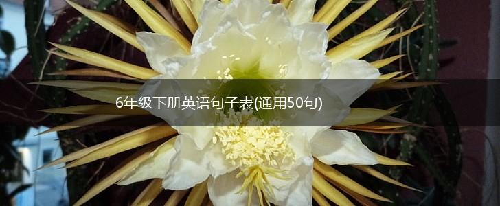 6年级下册英语句子表(通用50句),第1张
