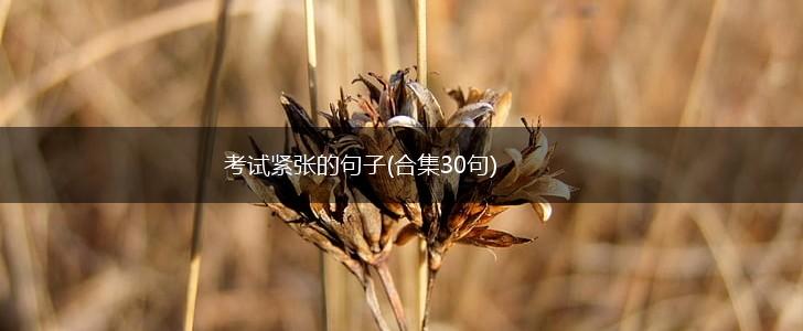考试紧张的句子(合集30句),第1张