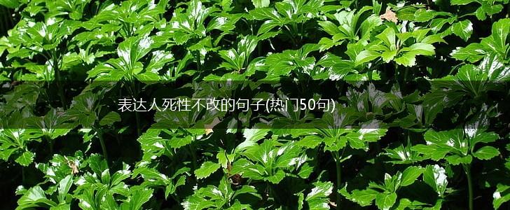 表达人死性不改的句子(热门50句),第1张