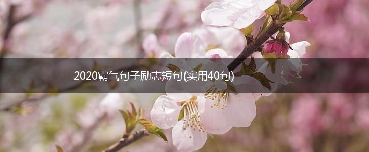 2020霸气句子励志短句(实用40句),第1张