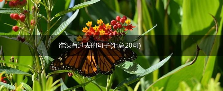 谁没有过去的句子(汇总20句),第1张
