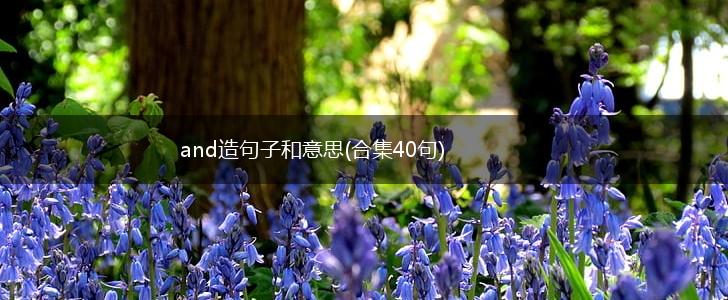 and造句子和意思(合集40句),第1张