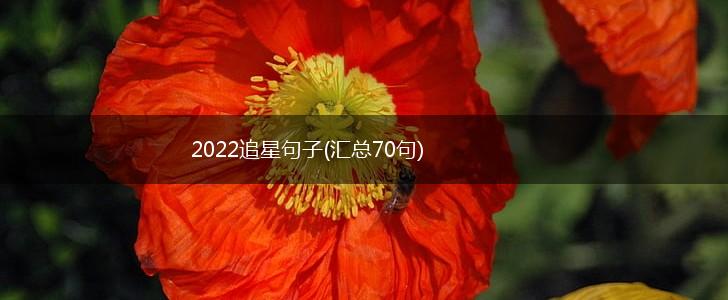 2022追星句子(汇总70句),第1张