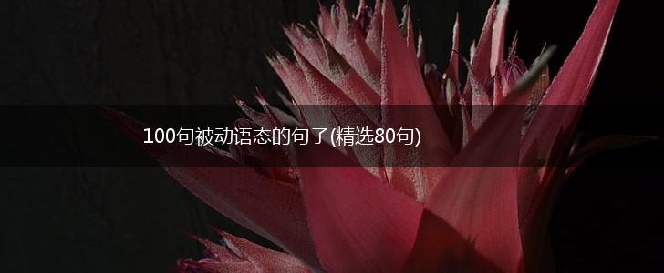 100句被动语态的句子(精选80句),第1张