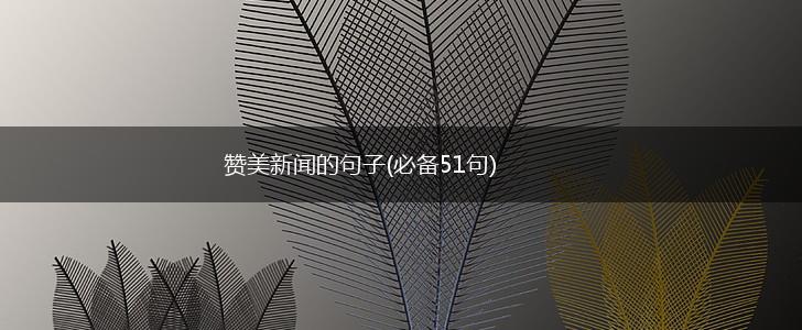 赞美新闻的句子(必备51句),第1张