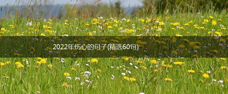 2022年伤心的句子(精选60句),第1张