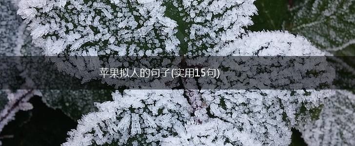 苹果拟人的句子(实用15句),第1张