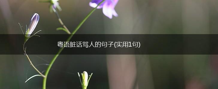 粤语脏话骂人的句子(实用1句),第1张