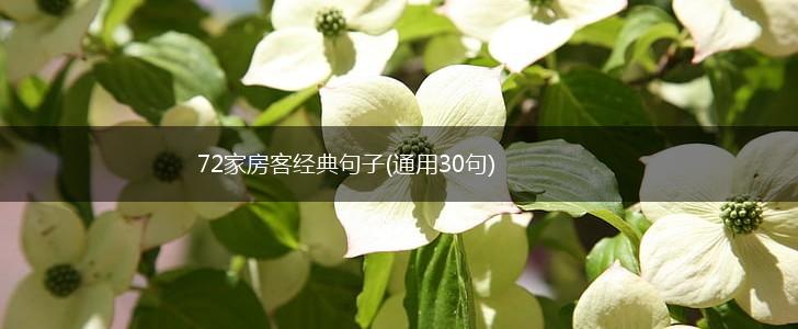 72家房客经典句子(通用30句),第1张