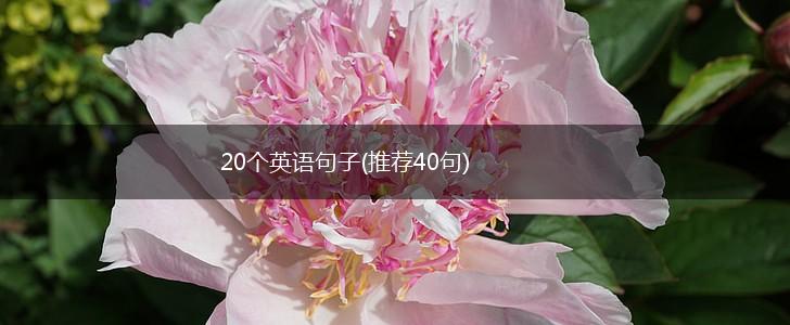 20个英语句子(推荐40句),第1张