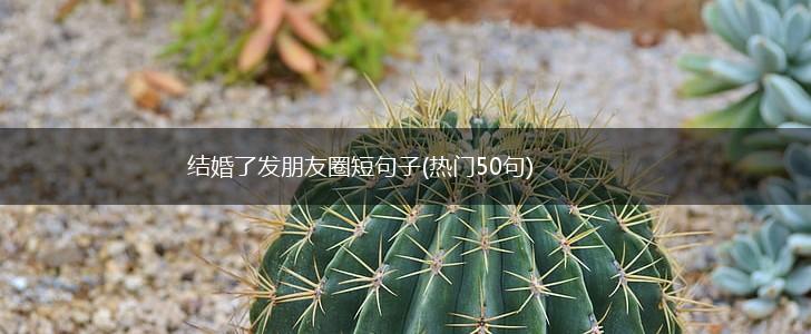 结婚了发朋友圈短句子(热门50句),第1张