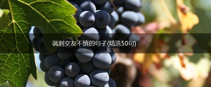 讽刺交友不慎的句子(精选50句),第1张