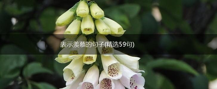 表示羡慕的句子(精选59句),第1张
