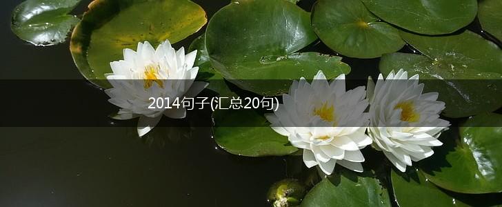2014句子(汇总20句),第1张