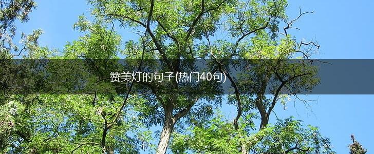 赞美灯的句子(热门40句),第1张