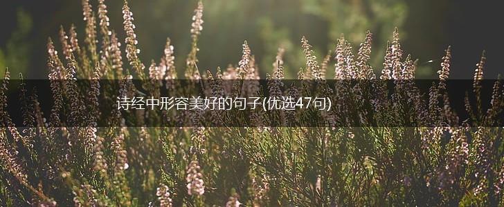 诗经中形容美好的句子(优选47句),第1张