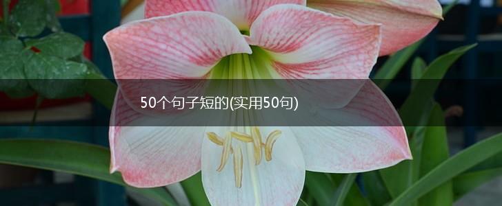 50个句子短的(实用50句),第1张