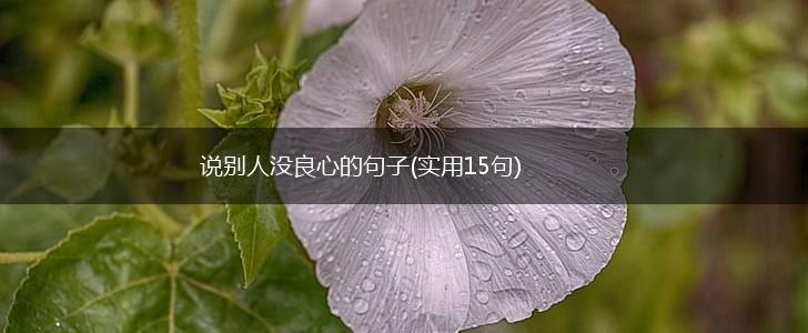 说别人没良心的句子(实用15句),第1张