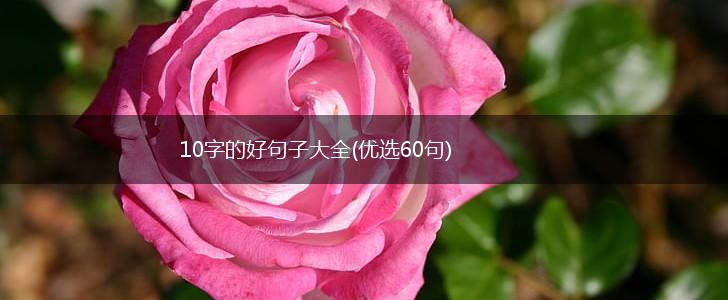 10字的好句子大全(优选60句),第1张