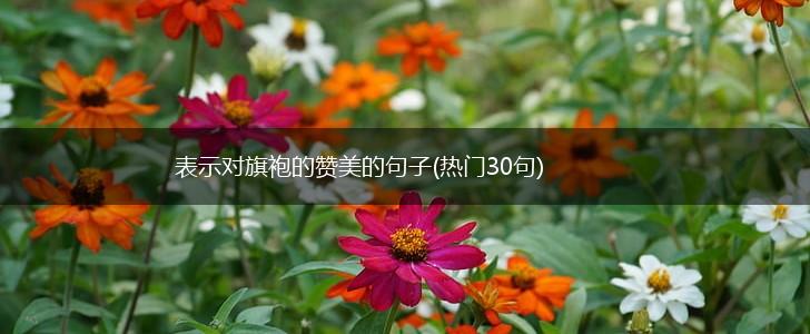 表示对旗袍的赞美的句子(热门30句),第1张