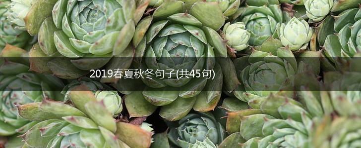 2019春夏秋冬句子(共45句),第1张