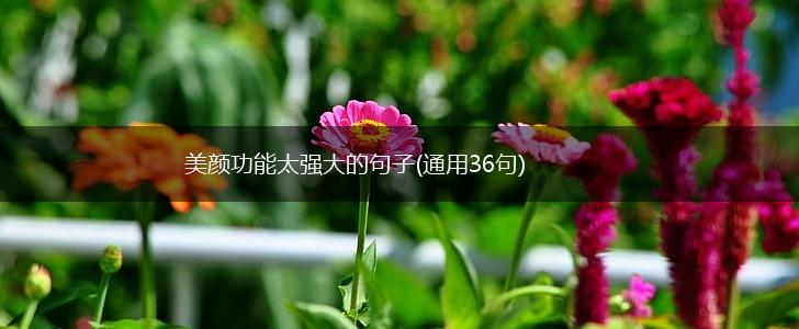 美颜功能太强大的句子(通用36句),第1张