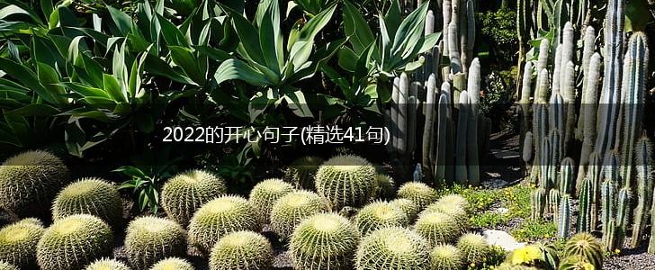 2022的开心句子(精选41句),第1张
