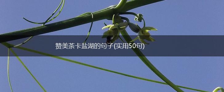 赞美茶卡盐湖的句子(实用50句),第1张