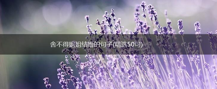 舍不得姐姐结婚的句子(精选50句),第1张