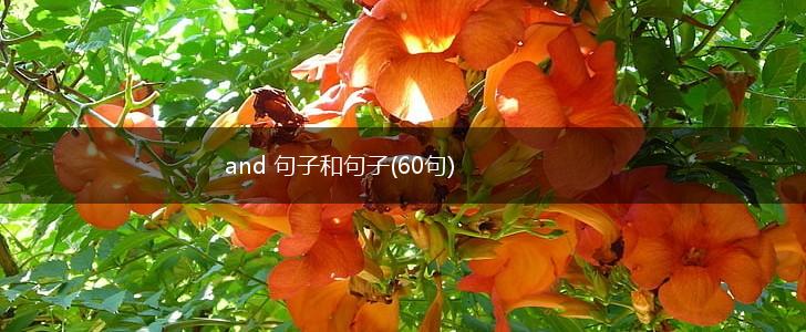 and 句子和句子(60句),第1张