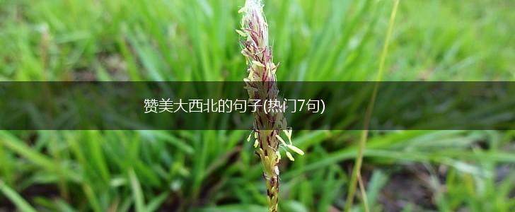 赞美大西北的句子(热门7句),第1张