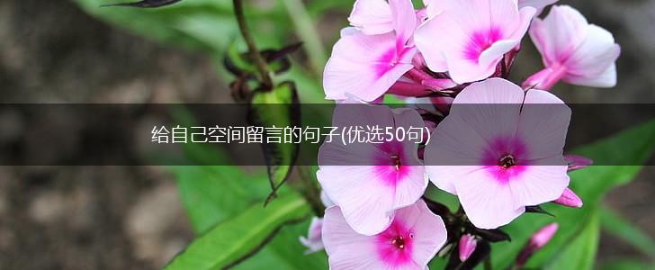 给自己空间留言的句子(优选50句),第1张