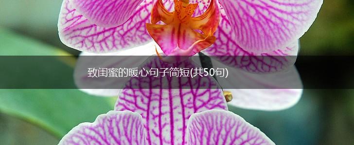 致闺蜜的暖心句子简短(共50句),第1张