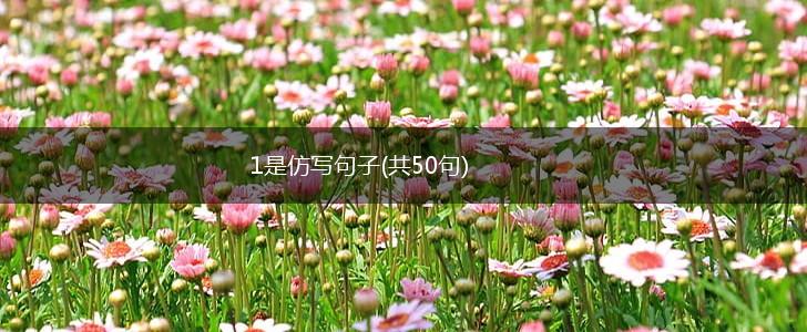 1是仿写句子(共50句),第1张