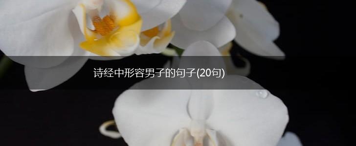 诗经中形容男子的句子(20句),第1张