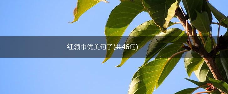 红领巾优美句子(共46句),第1张