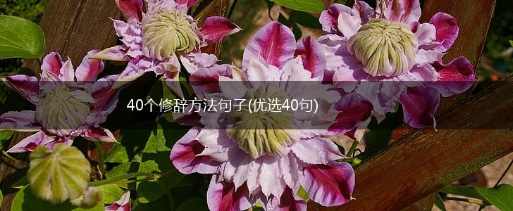 40个修辞方法句子(优选40句),第1张