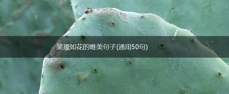 笑靥如花的唯美句子(通用50句),第1张