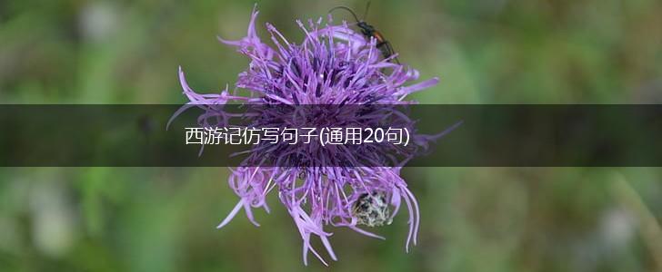 西游记仿写句子(通用20句),第1张