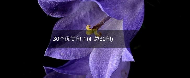 30个优美句子(汇总30句),第1张