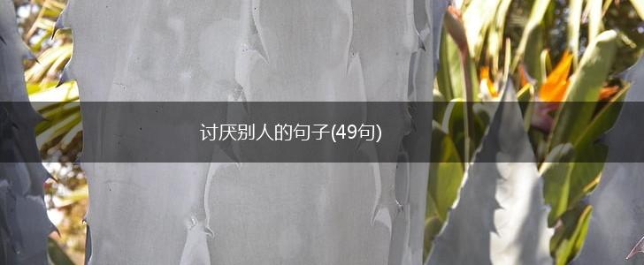 讨厌别人的句子(49句),第1张