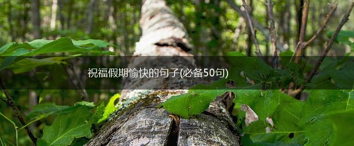 祝福假期愉快的句子(必备50句),第1张