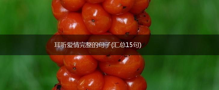 耳听爱情完整的句子(汇总15句),第1张
