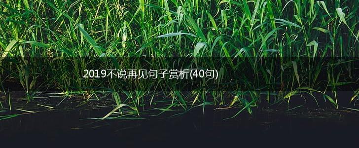 2019不说再见句子赏析(40句),第1张