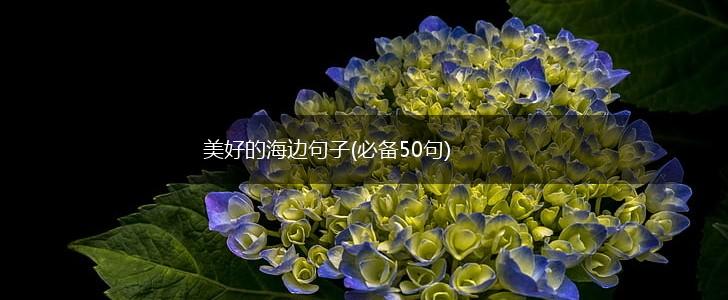 美好的海边句子(必备50句),第1张