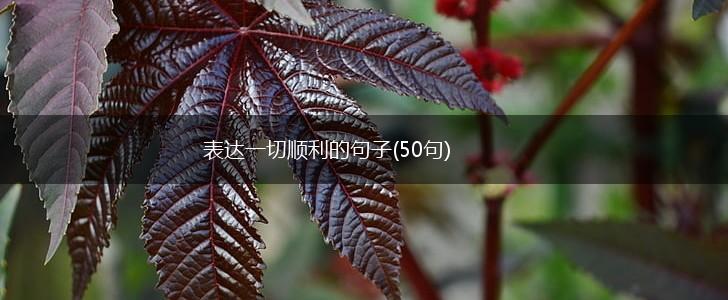 表达一切顺利的句子(50句),第1张